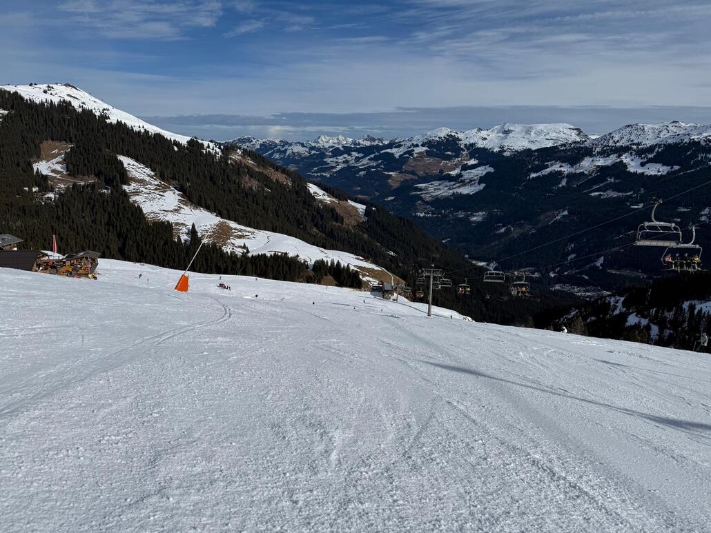 WhatsApp Image 2025-02-12 at 01.31.39.jpeg