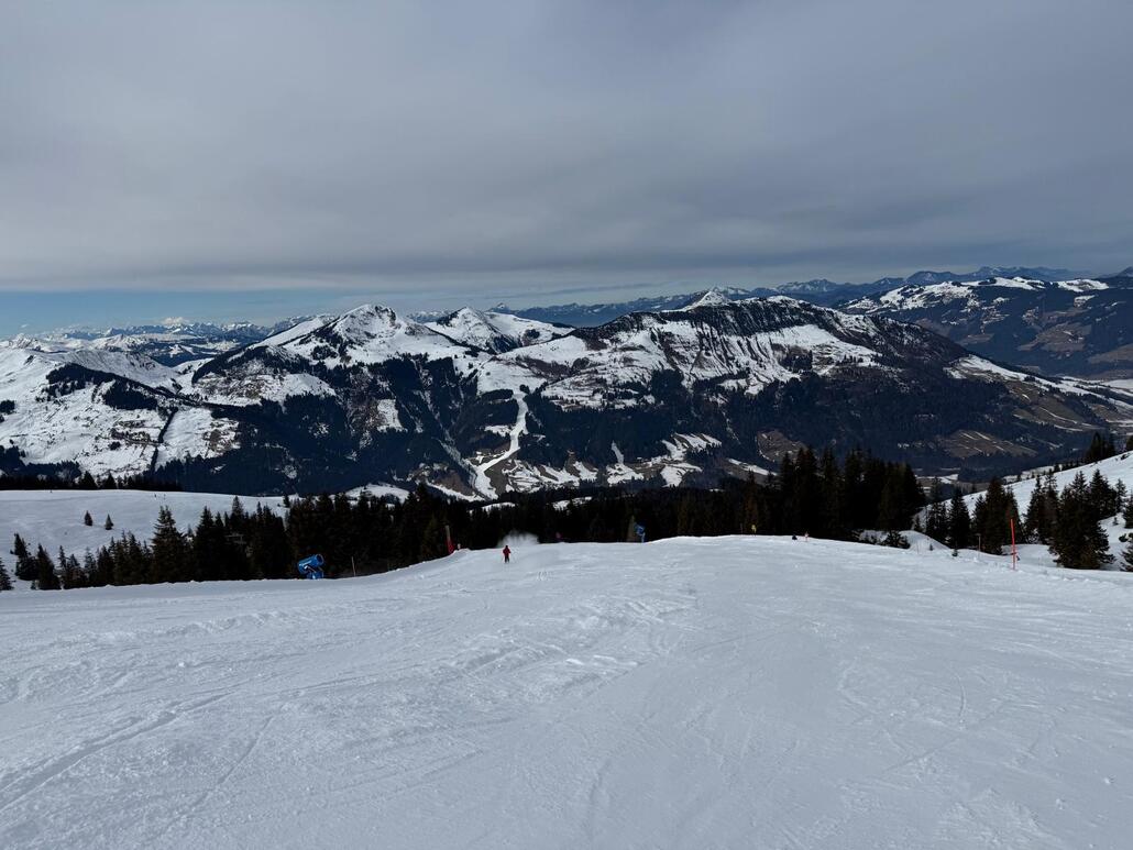 WhatsApp Image 2025-02-12 at 01.48.12.jpeg