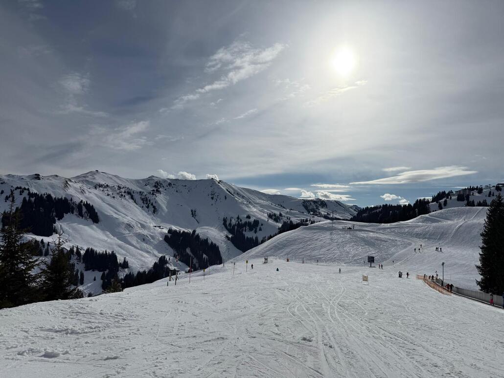 WhatsApp Image 2025-02-12 at 02.06.36.jpeg