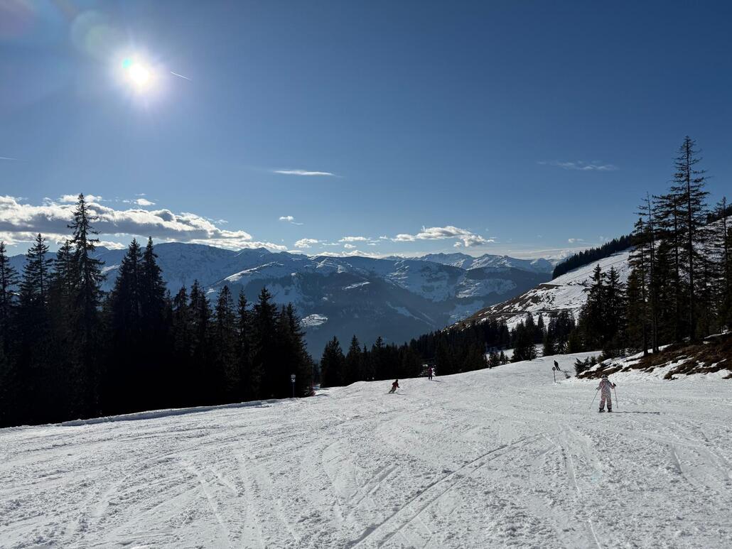 WhatsApp Image 2025-02-12 at 02.09.49.jpeg