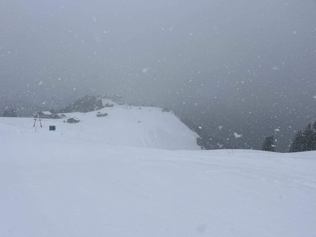 2025-02-13 11.42.35.jpg