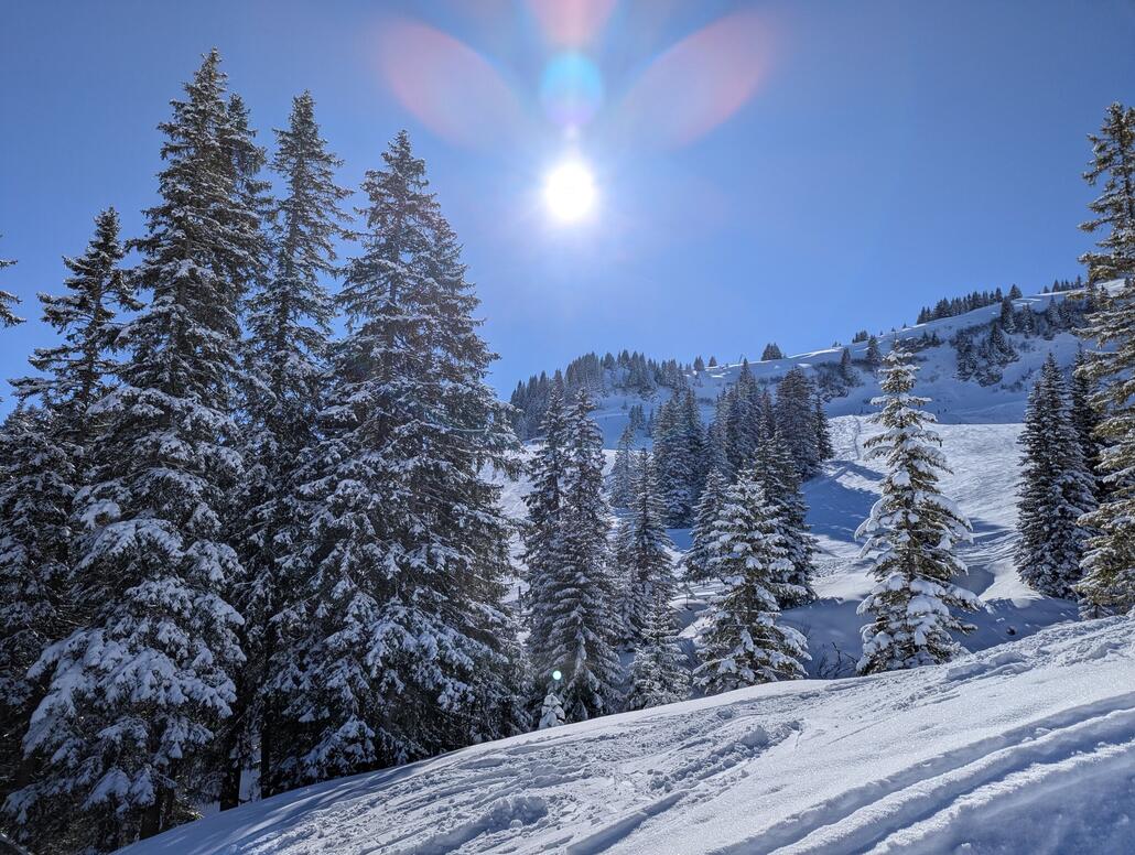 Seitenblicke im Lift
