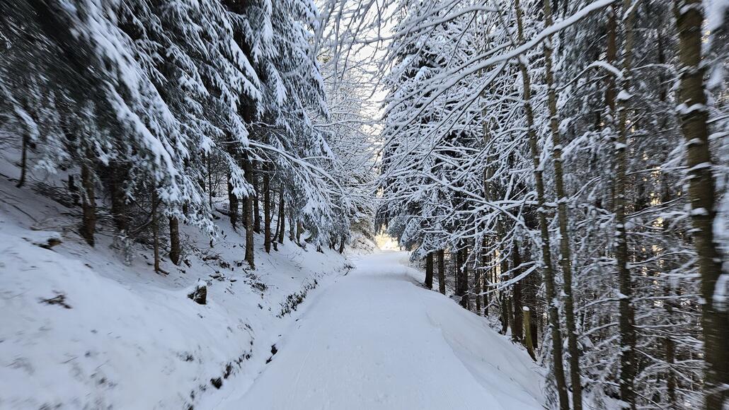 Letzter Teil vom Weg kurz vor Klösterli