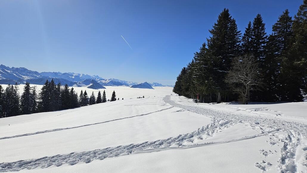 Start vom Winterwanderweg zum Wechseln richtung Klösterli
