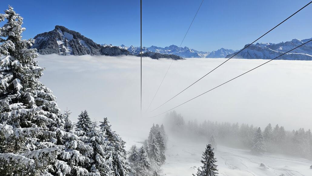 Zurück in der Sonne