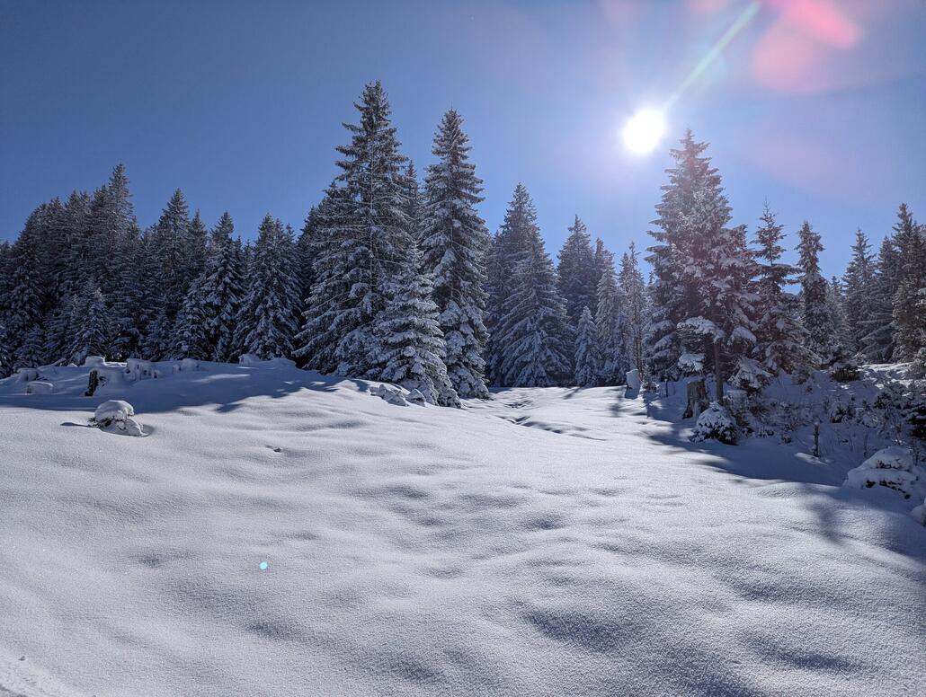 An den Schachenliften Seitenblick