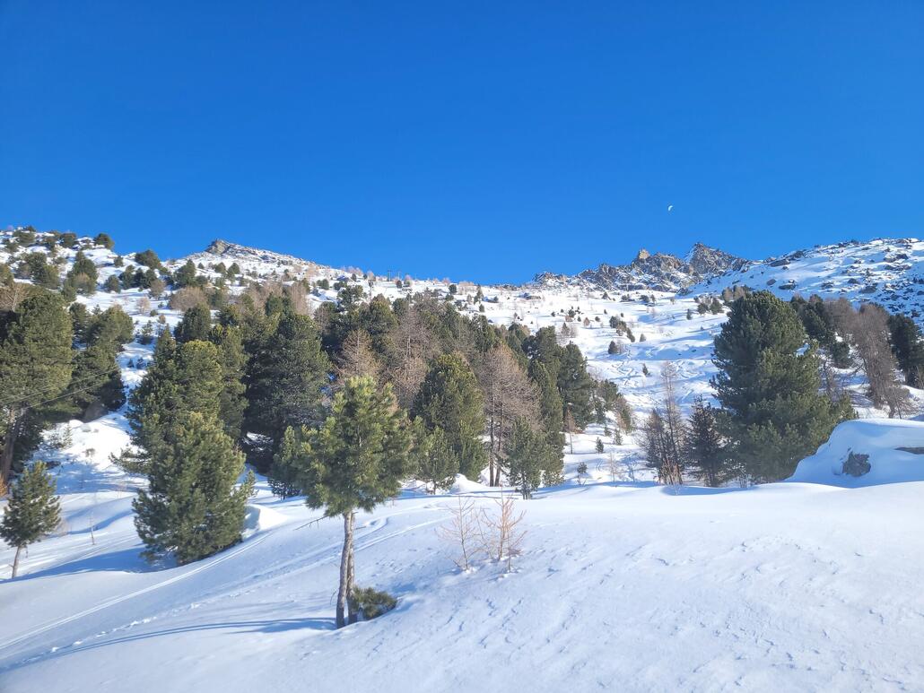 Irgendein LSAP Schlepper an der Stafelalp?