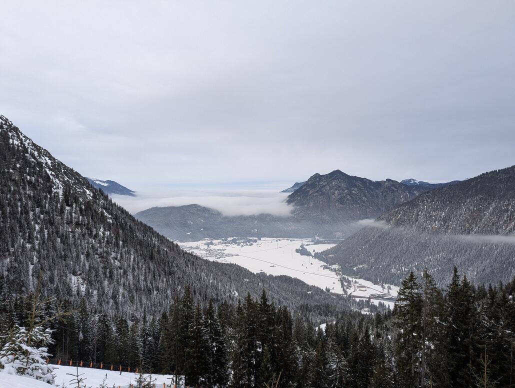 Die Nebelschlange nähert sich
