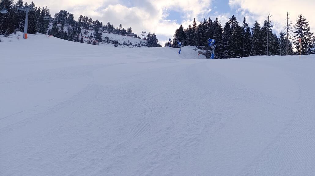 Ahorn wie immer: perfekt