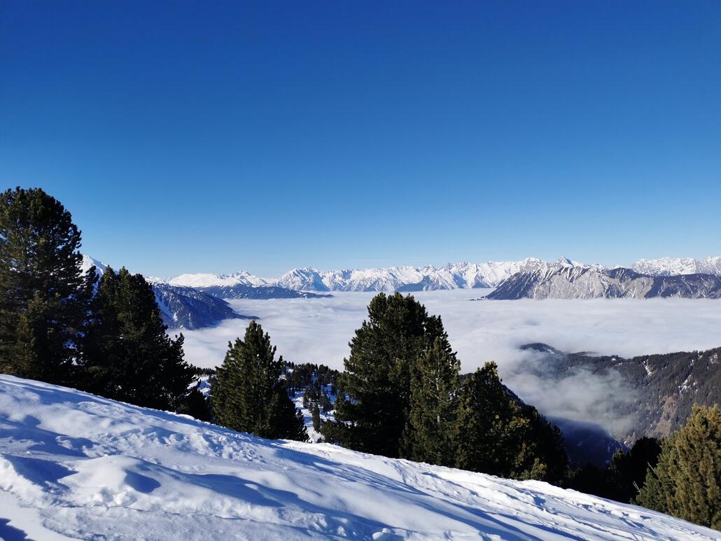 4. Panoramablick bei der Bergstation DSB Mohrenkopf. Ein paar DSB hat man hier in Hochoetz.