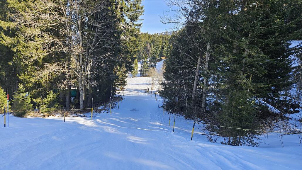 Rückbringerweg vom Tellerlift zur Bergstation PB Wirzweli