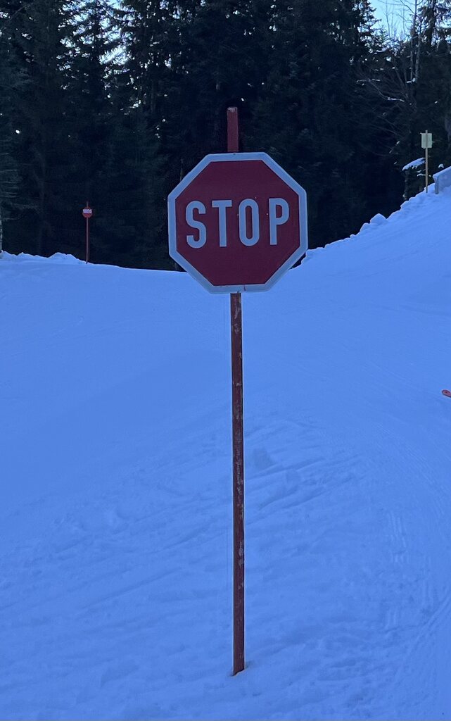 2023-12-18 11.55.22-1.jpg