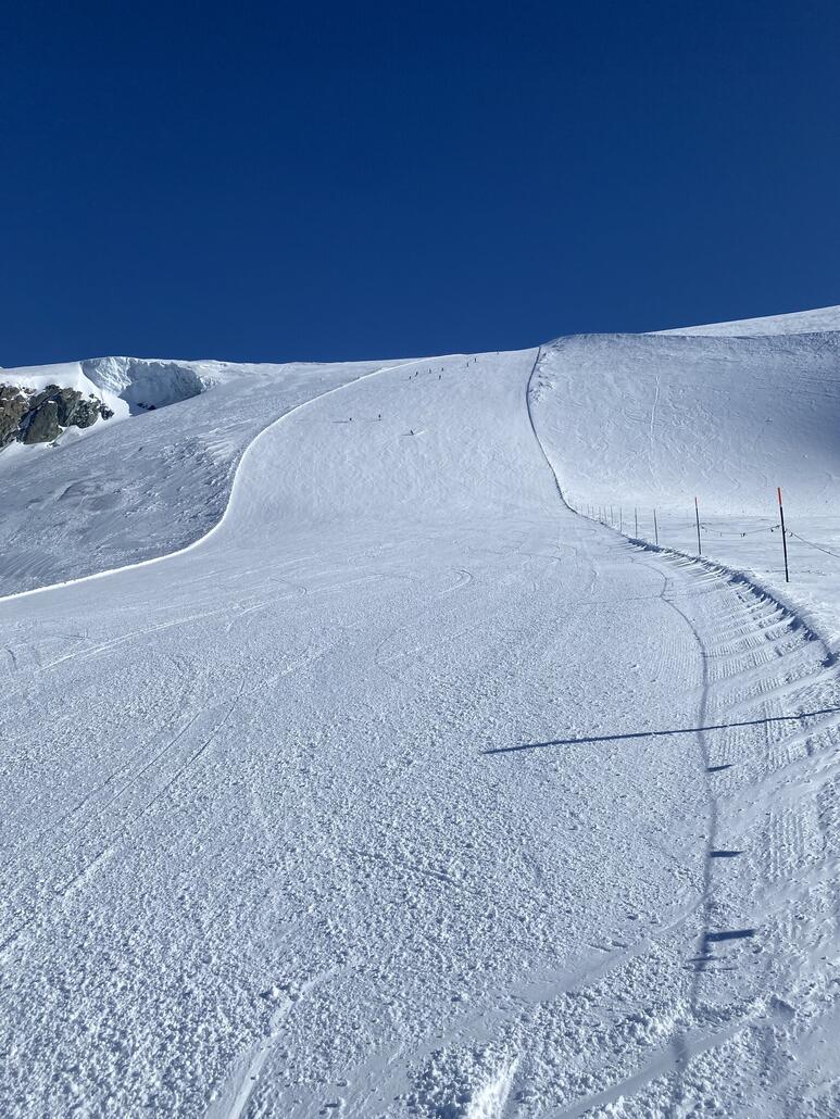 Die Schwarze vom KLM
