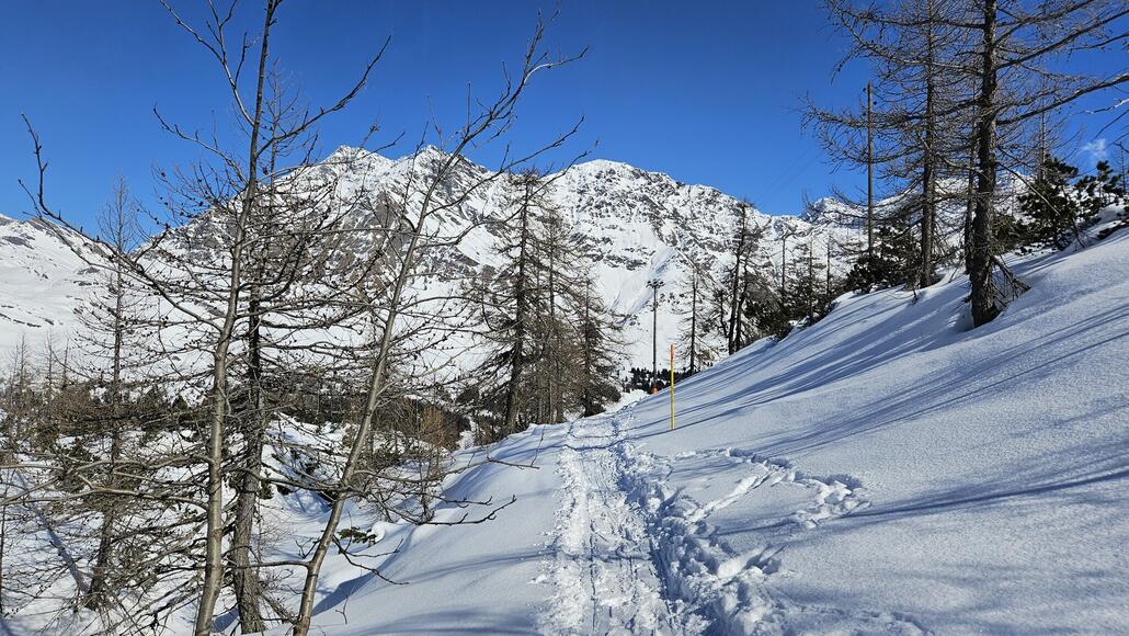 Start gelbe Route Nr. 5