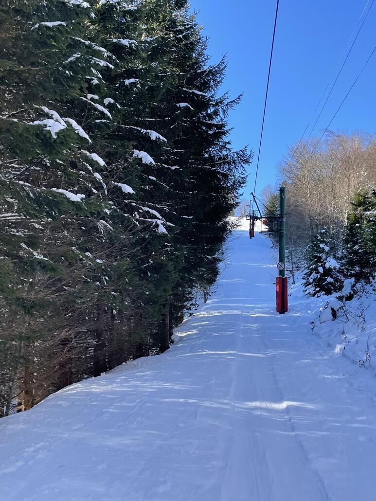 Im Schatten hielt sich auch der Schnee auf den Bäumen