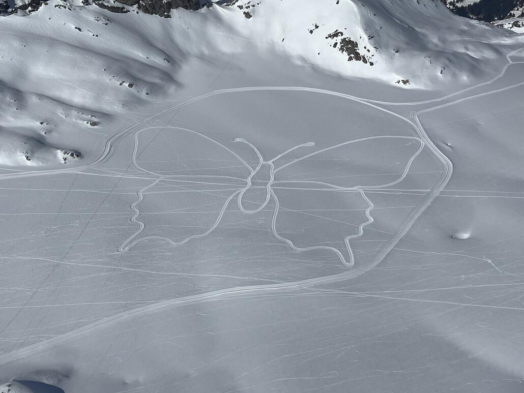 Schmetterling auf der Plaine Morte