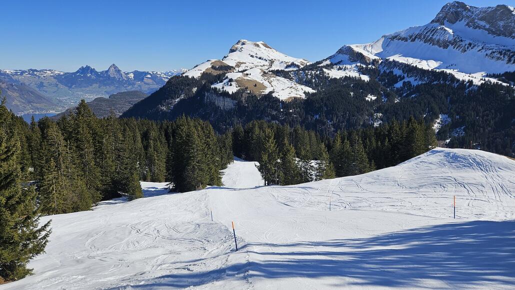 Diese vielen gemütlichen Waldabfahrten gefallen mir immer wieder aufs Neue