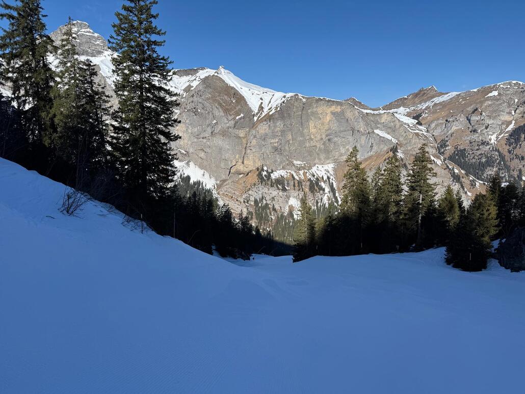 WhatsApp Image 2025-03-08 at 21.02.51.jpeg