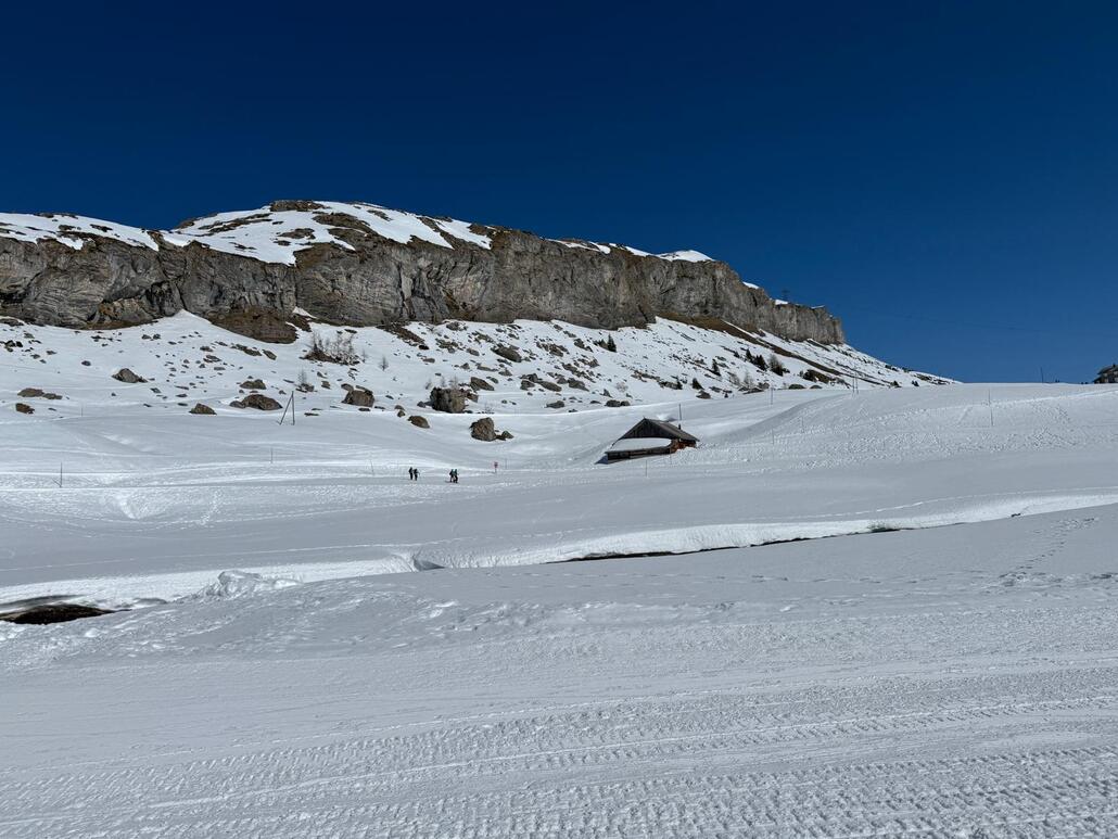 WhatsApp Image 2025-03-08 at 21.33.15 (2).jpeg