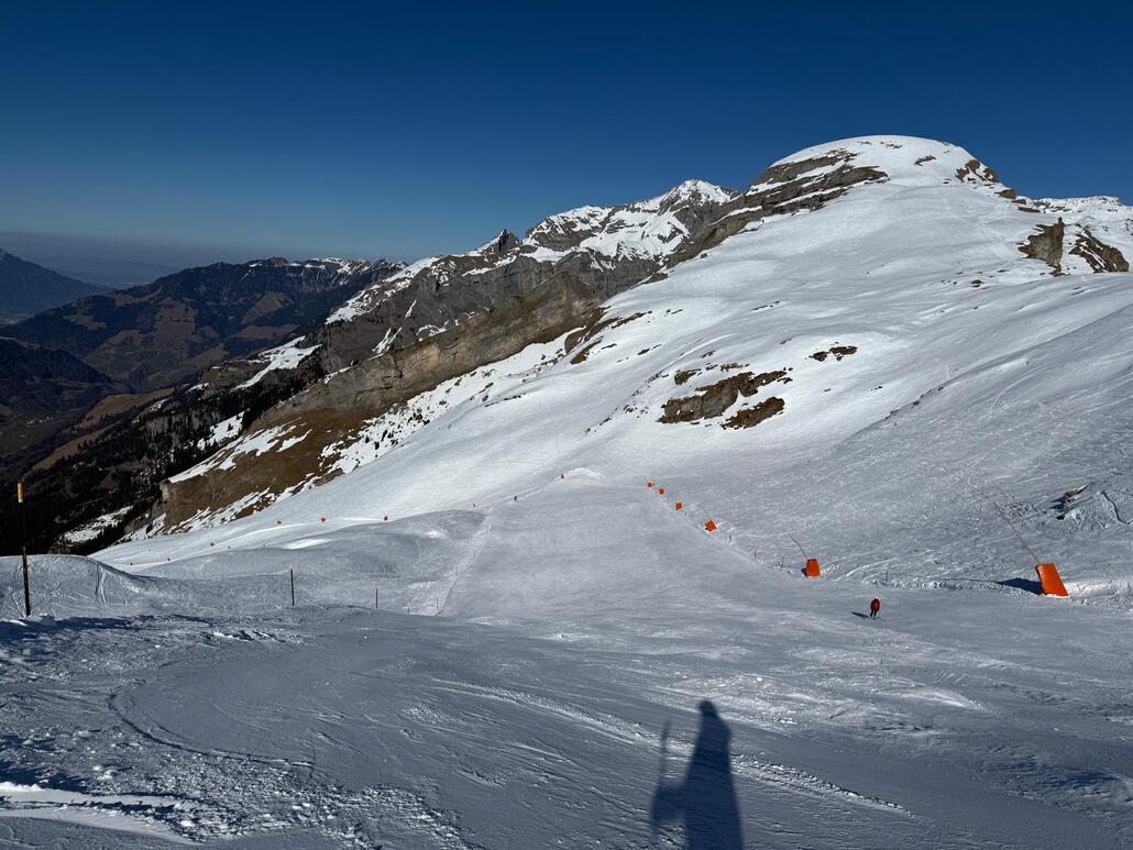 WhatsApp Image 2025-03-08 at 22.10.30 (4).jpeg