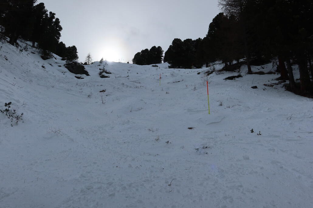 Die Momatt ist ein ziemlicher Gemüseacker...