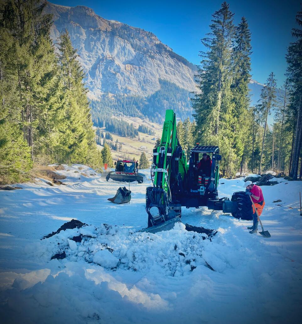 WhatsApp Image 2025-03-11 at 08.38.25.jpeg