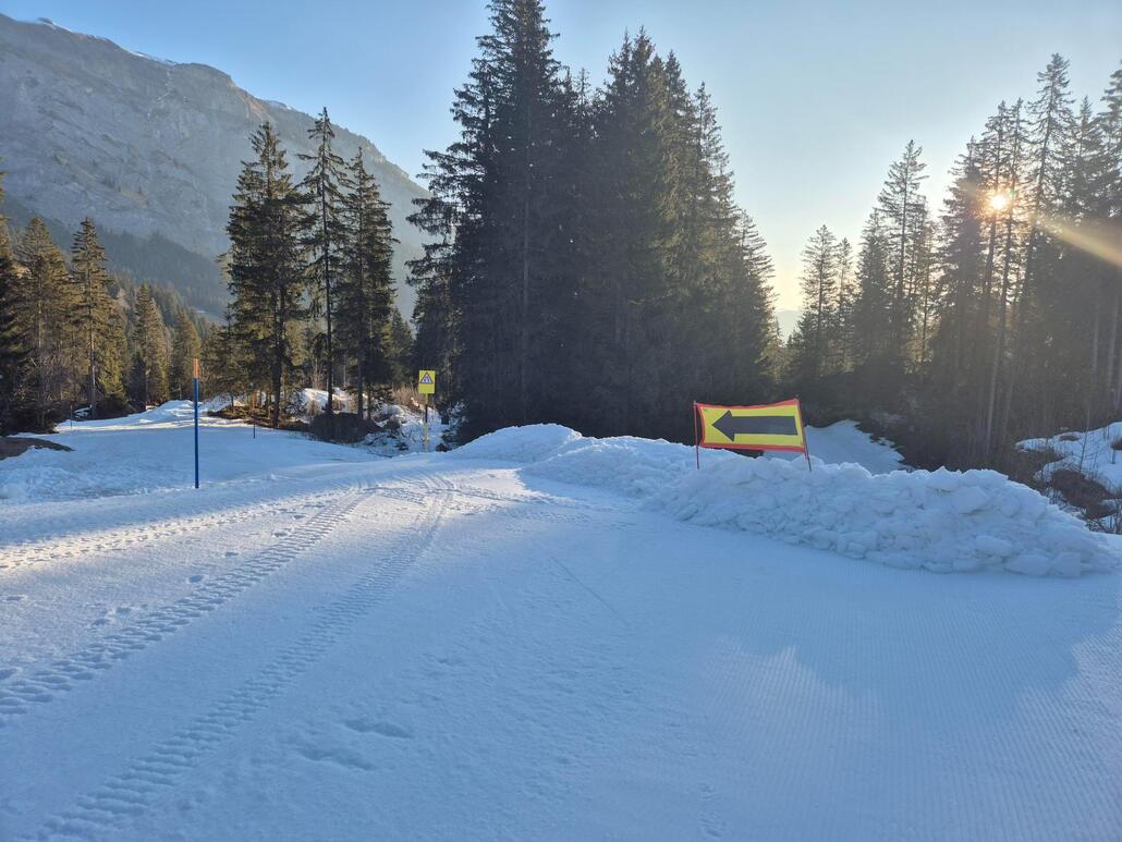 WhatsApp Image 2025-03-11 at 08.44.01.jpeg