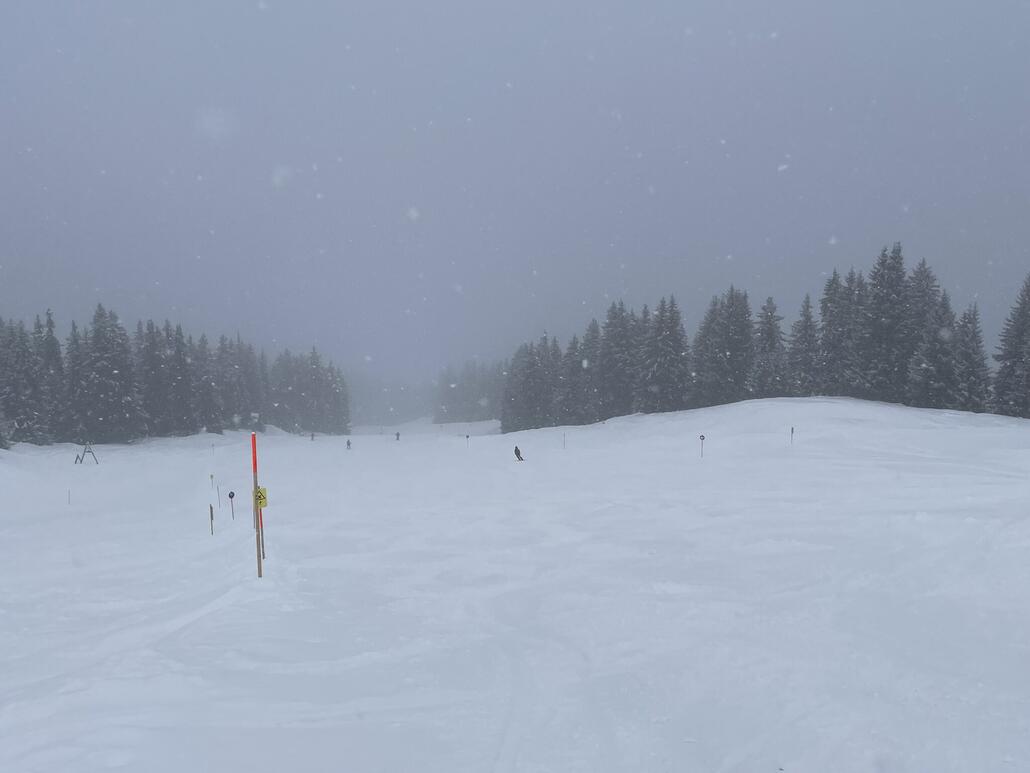 Starker Schneefall mit einigermassen passabler Sicht im Wald.