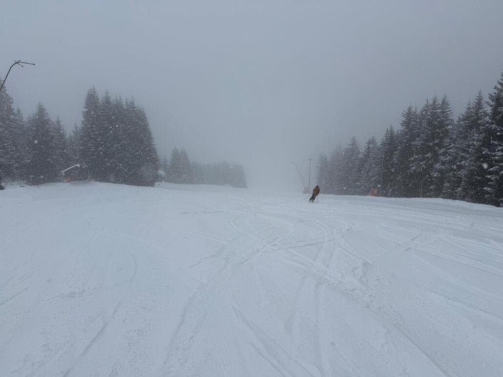 WhatsApp Image 2025-03-16 at 21.13.30.jpeg