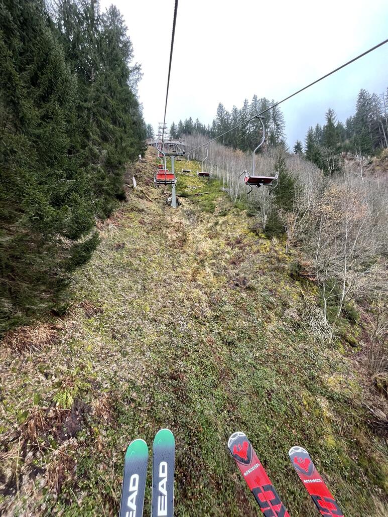 Aber voll im Grünen