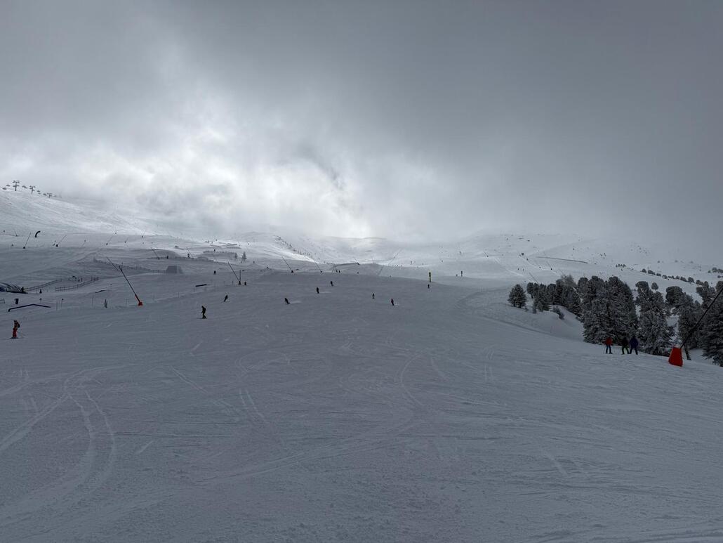 WhatsApp Image 2025-03-17 at 22.06.54.jpeg