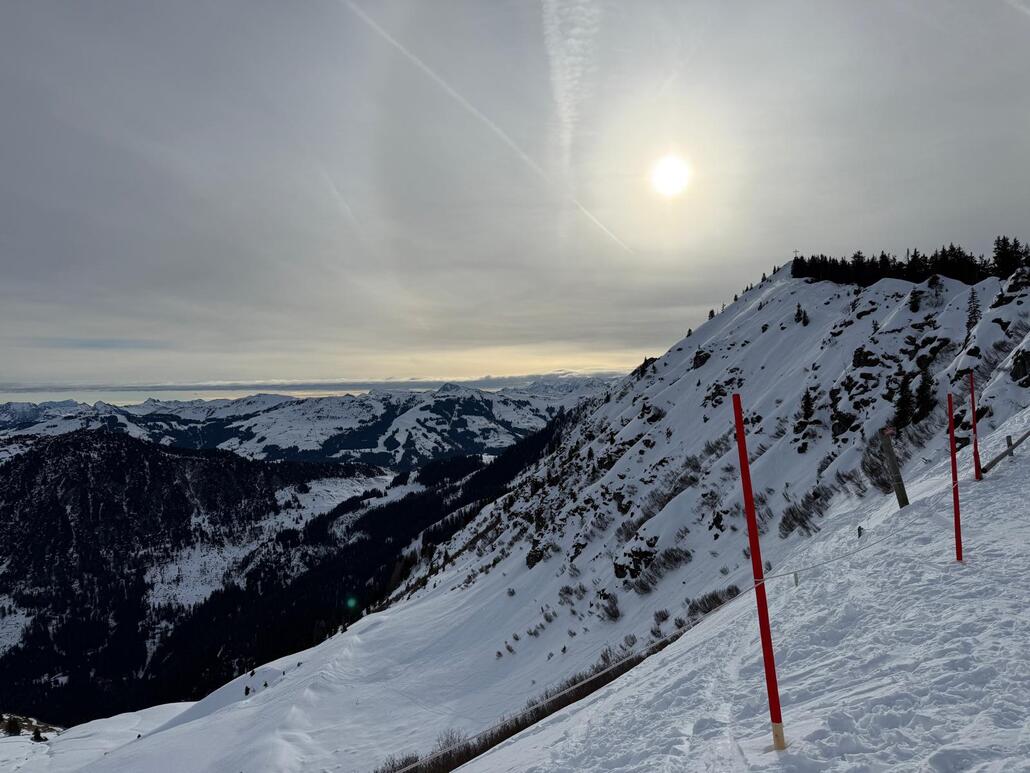 WhatsApp Image 2025-03-18 at 00.04.44.jpeg