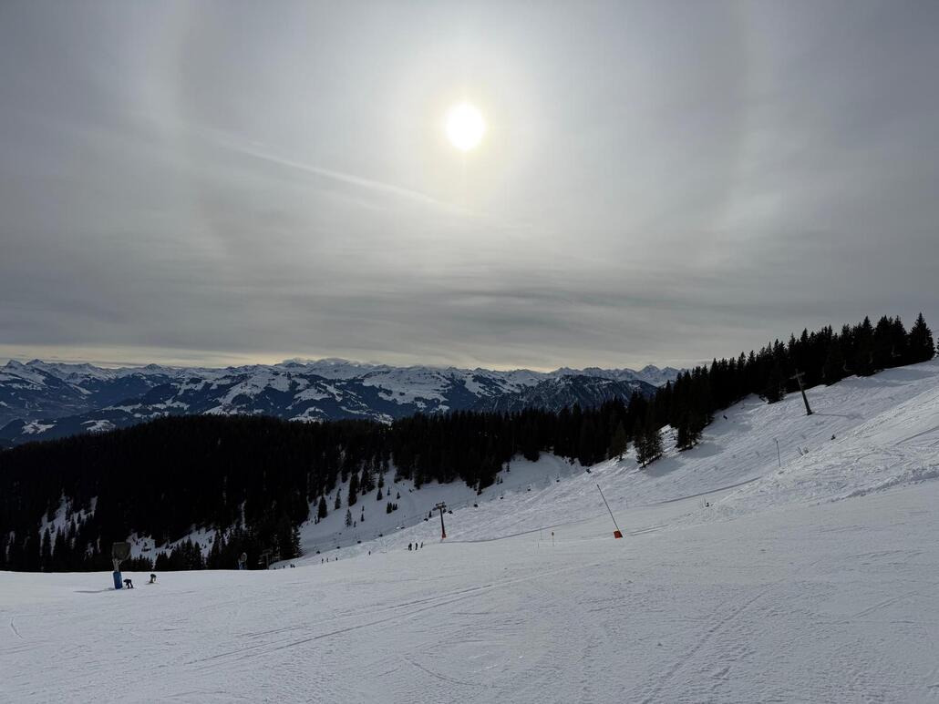 WhatsApp Image 2025-03-18 at 00.10.52.jpeg