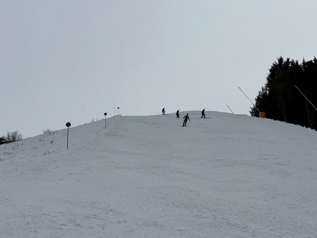 WhatsApp Image 2025-03-18 at 00.26.32 (1).jpeg