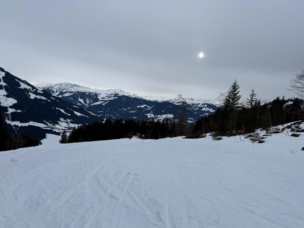 WhatsApp Image 2025-03-18 at 00.32.15.jpeg