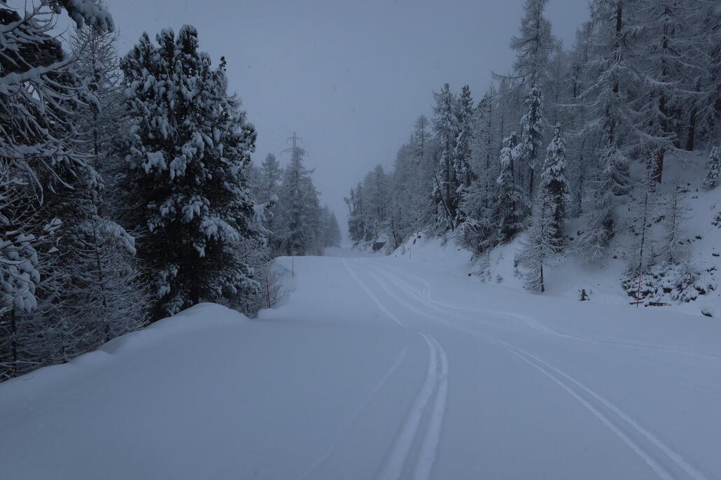 Ried als Tiefschneeabfahrt wurde von den Massen ignoriert
