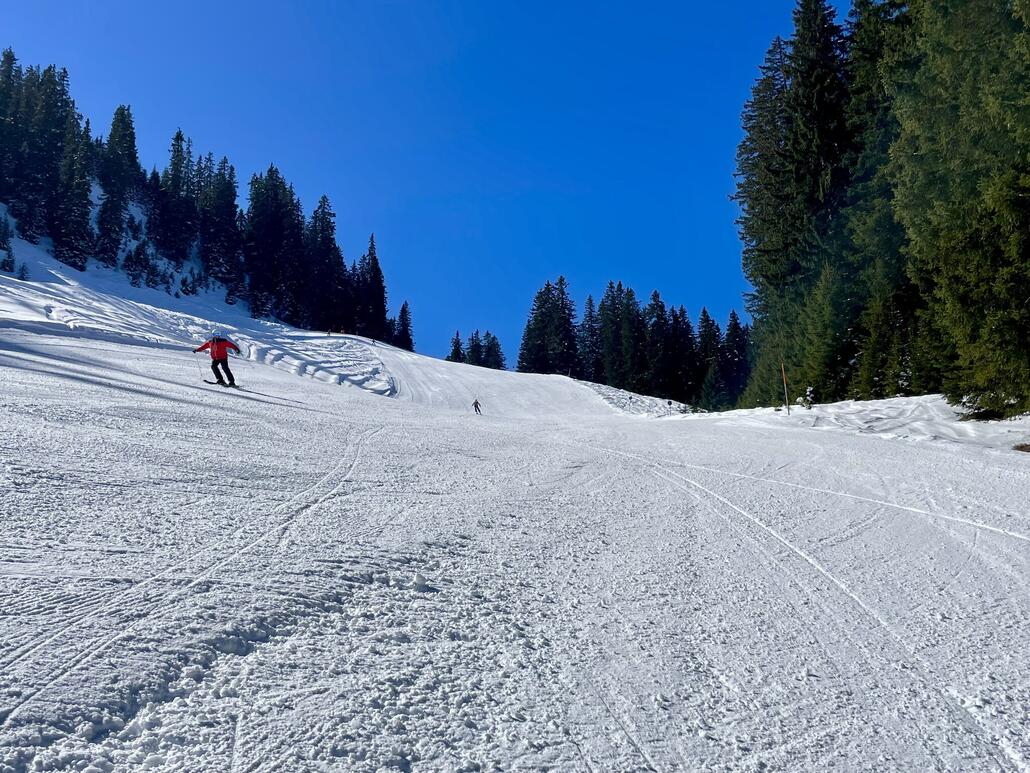 23a und 23b als einzige Nordausrichtung blieben perfekt