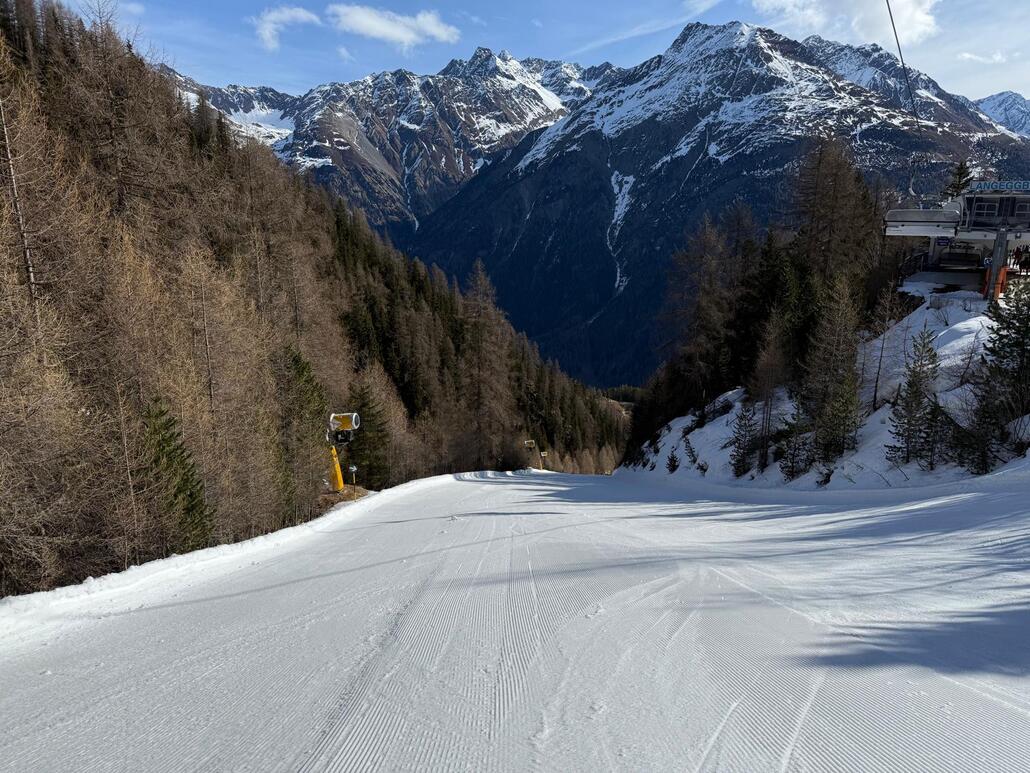 WhatsApp Image 2025-03-24 at 21.56.31 (8).jpeg