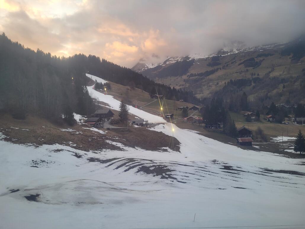 Blick aus der Gondel zum unteren Teil der Piste.  Links und rechts bereits komplett grün
