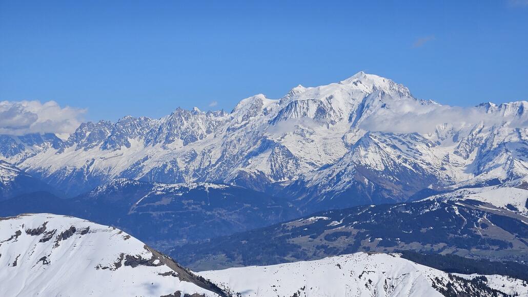 20250407_155913.jpg (503.47 KiB) 1654 mal betrachtet Der "Mächtigste"