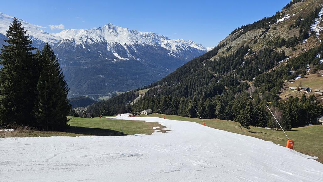 20250409_105919.jpg (663.6 KiB) 1657 mal betrachtet Wunderschön aufgefirnte Talabfahrt