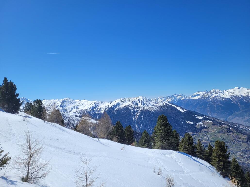 Blick nach Nendaz, die Talabfahrt sticht heraus als weisser Streifen