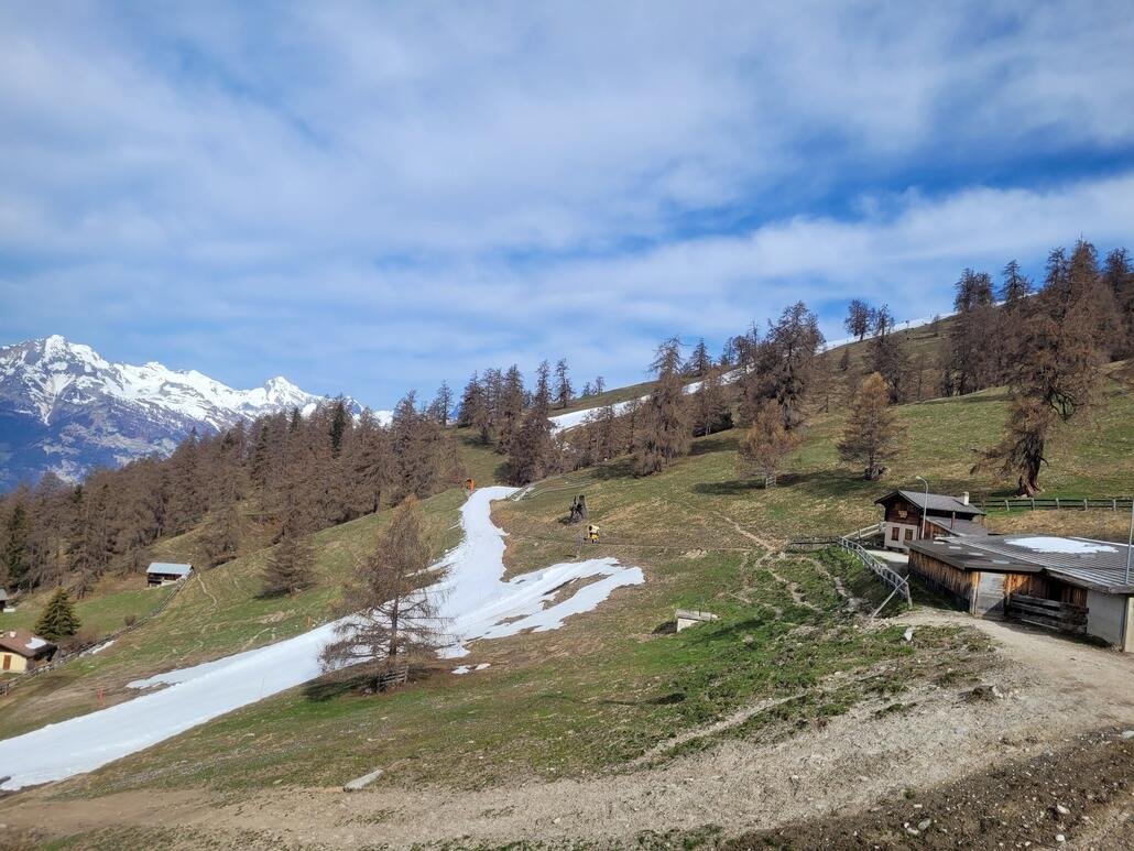 Widerwillig trenne ich mich von der schwarzen nach drei famosen Abfahrten und wechsle nach Nendaz. Die Abfahrt am Prarionsessel ist nur noch ein weisses Band im Grünen