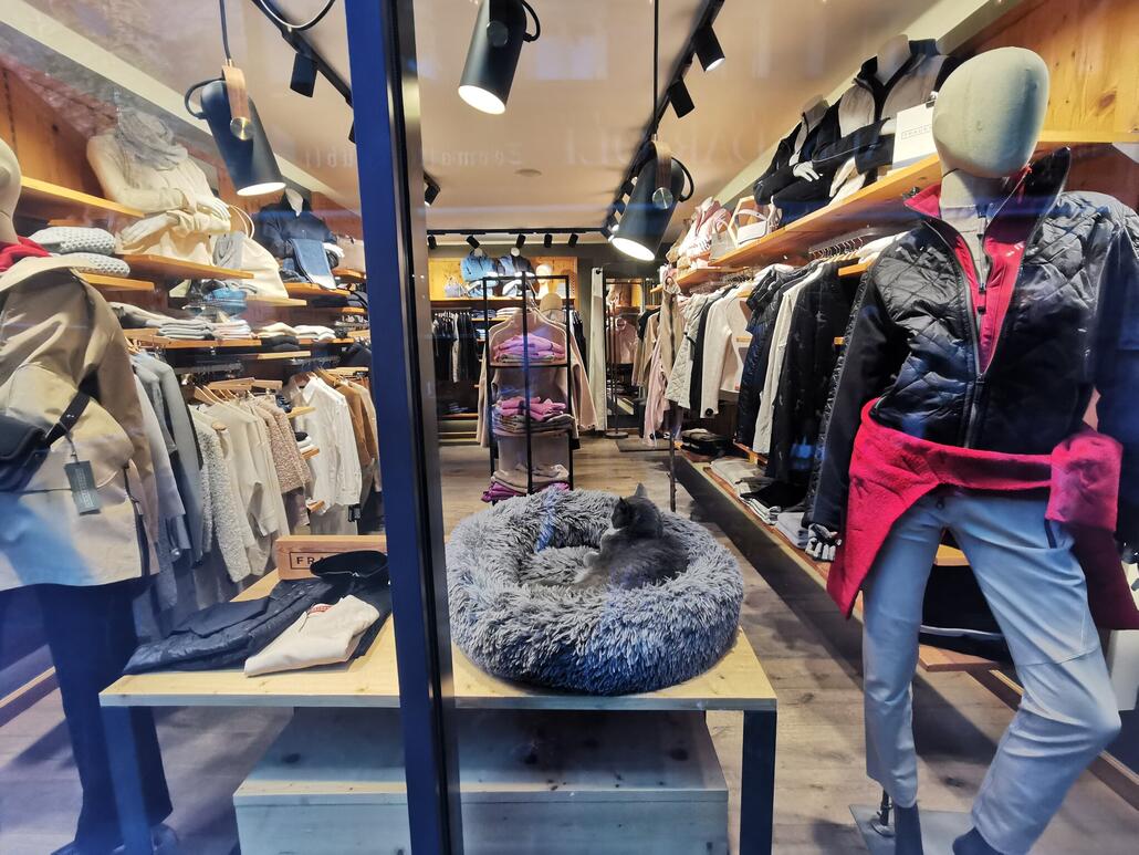 40. Kleidershop mit Katze. :)