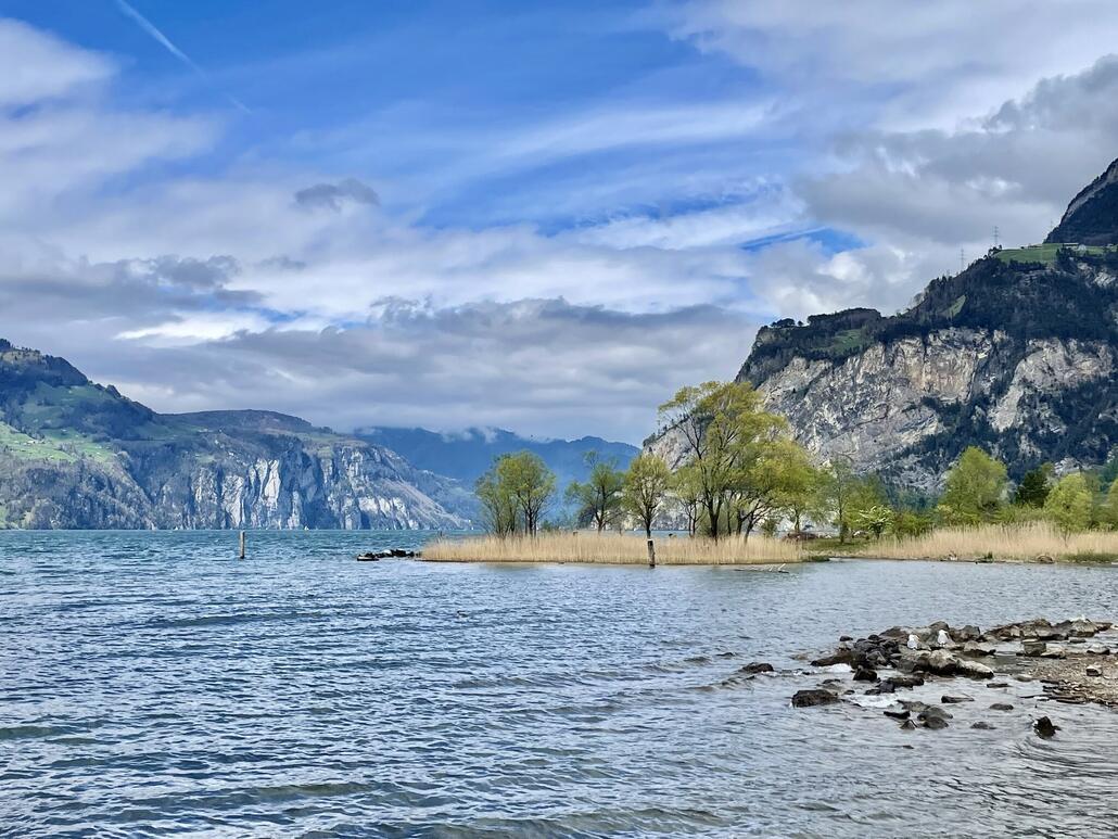 Kurz vor dem Ziel bei Flüelen.