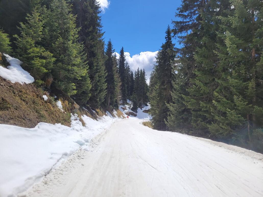 Die Talabfahrt wird bis zum Saisonende am Sonntag halten, an 2 Stellen könnte es vielleicht knapp werden.<br />Isr allerdings nachmittags mit Anschieben verbunden.