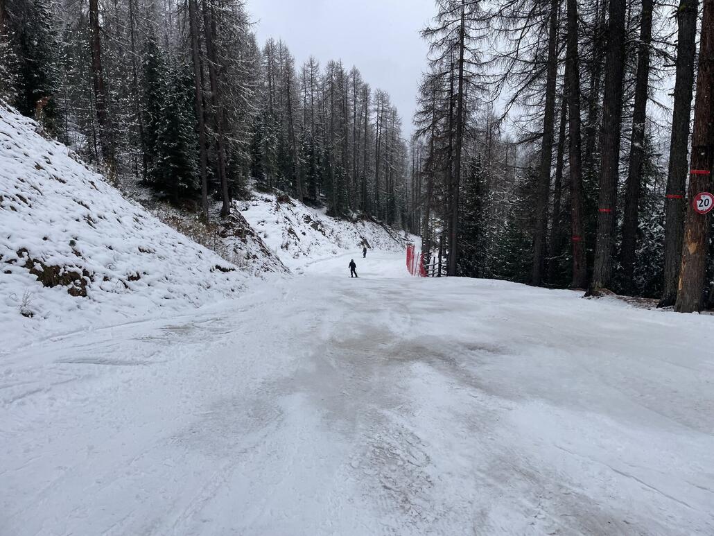 Im Wald gehts auch nicht mehr lange.