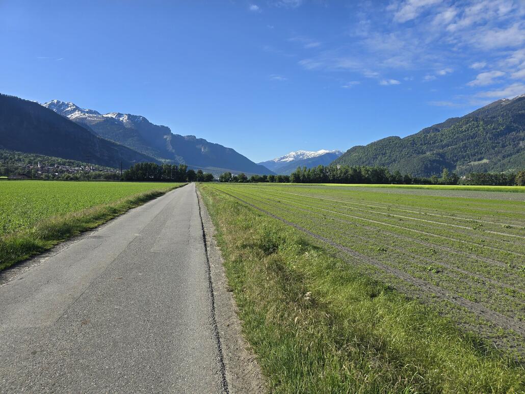 Morgens im Rheintal unterwegs nach Untervaz