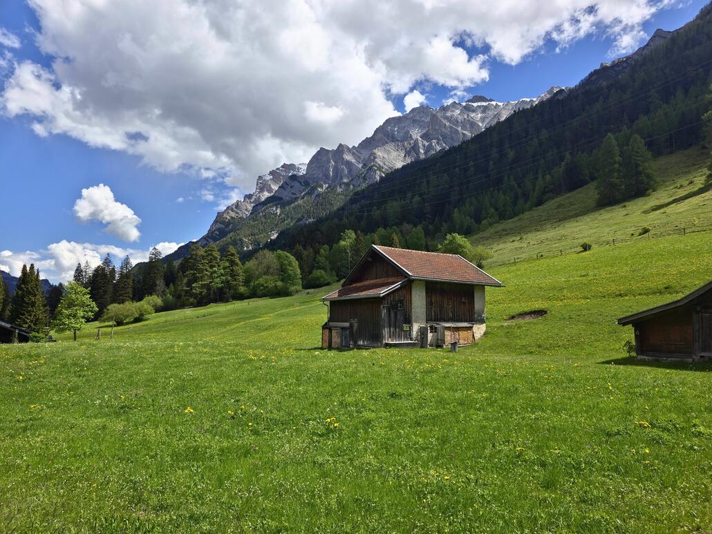 Bei Kunkels mit dem Calanda im Hintergrund