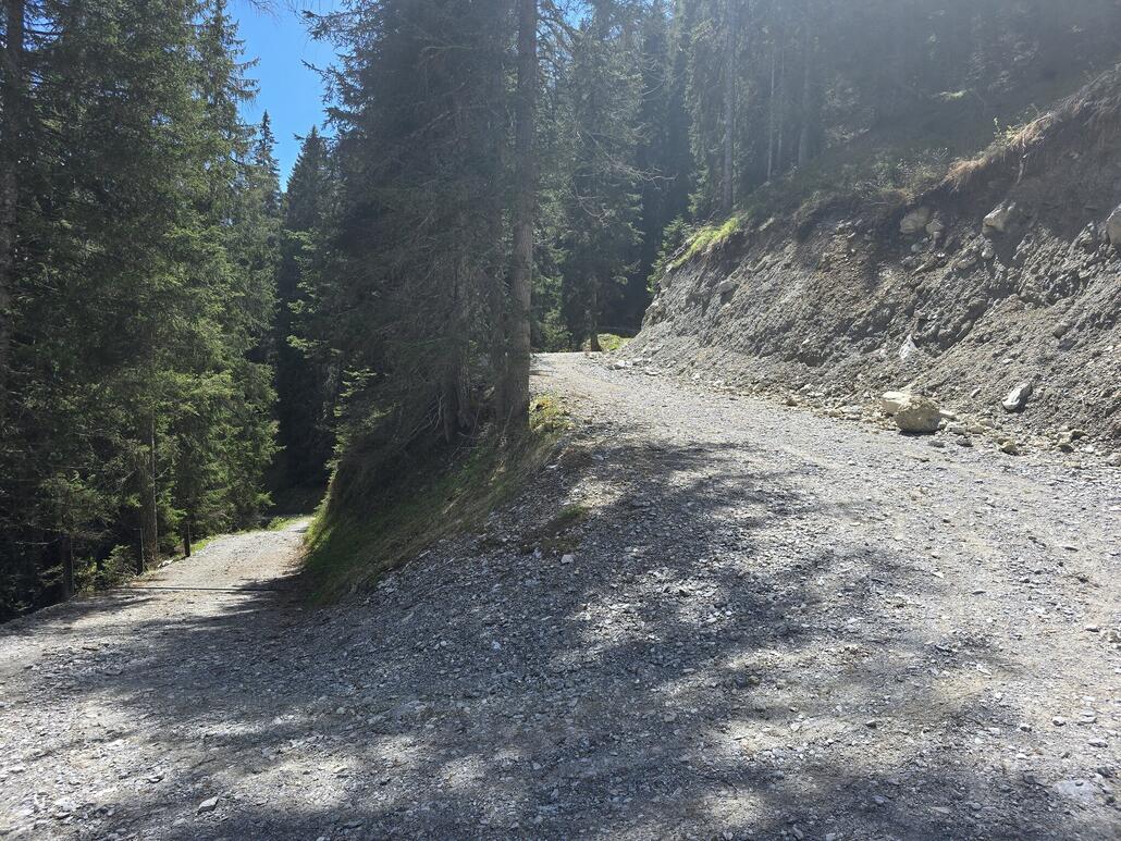 Unterwegs auf dem steilen Alpweg.